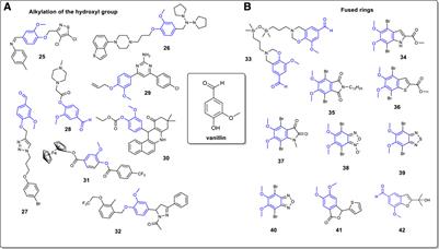 Vanillin: A Promising Biosourced Building Block for the Preparation of Various Heterocycles